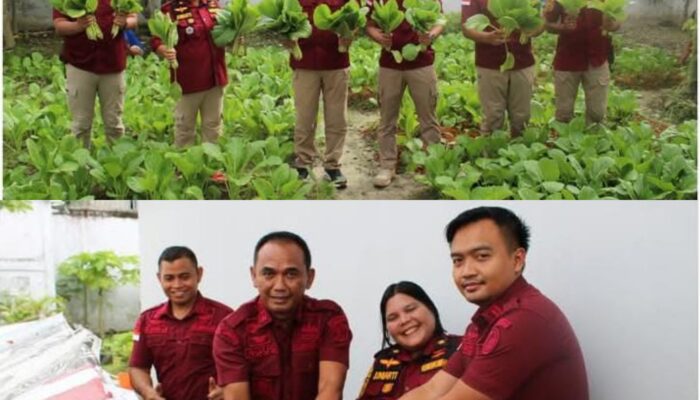 Ketahanan Pangan Presiden Jadi Prioritas, Rutan Siak Sukses Panen Lele dan Sawi