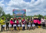Kelompok Tani Berkah Alam Purnama Bersama Polsek Kempas dan Bhayangkari Tanam Jagung Dukung Program Ketahanan Pangan
