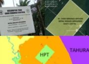 Kelompok Tani (KT) Binaan Asosiasi Petani Kelapa Sawit Indonesia (Apkasindo) KT Garo Sebanga Sentosa Diduga Berada Dalam Kawasan Hutan