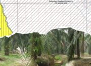 Tak Mampu Perlihatkan Data Konkrit, DPD LSM Bara Api Riau Tantang Humas PT Musim Mas Untuk Tunjukan Bukti kalau Berita Hoax Dugaan Operasional Kebun Sawit Di luar HGU dan konservasi
