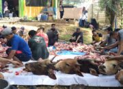 SMKN 1 Tambusai Laksanakan Qurban 1446 H, Wujudkan Nilai Religius dan Sosial di Lingkungan Sekolah