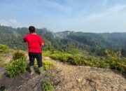 Aktivis Lingkungan Tinjau Langsung Lokasi Kebakaran Hutan di Kawasan Bendungan Kaiti-Sipogas