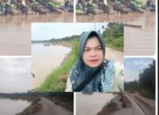 DPC LSM Bara Api Meminta Kapolres Inhu Membasmi Tambang Emas yang Diduga Ilegal