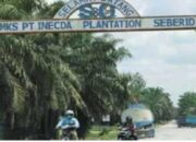 PT INECDA Diduga Terlibat Dalam Pengangkutan Tanah Urug dari Tambang Galian C ilegal Milik CV.BBI