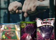 Tragedi Hukum di Riau, Ketika Hak Azasi AY Dirampas Melalui Penangkapan di Jajaran Polsek Bina Widya yang Dinilai Tidak Proporsional 