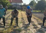 Program Polisi Cinta Petani di Kawasan Pelabuhan Pekanbaru Perkuat Ketahanan Pangan