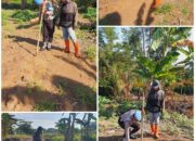 KSKP Dumai Lakukan Pengecekan Perkembangan Tanaman Jagung Bersama Kelompok Tani Tuah Brata Pangan di Kelurahan Pangkalan sesai
