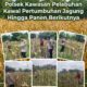 Polsek Kawasan Pelabuhan Kawal Pertumbuhan Jagung Hingga Masa Panen Berikutnya