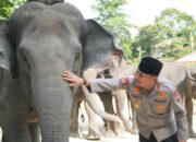 Dukung Inpres Prabowo, Green Policing Polda Riau Siap Jadi Garda Terdepan Penyelamatan Gajah