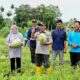 Panen Semangka Petani Milenial, Wabup Ajak Perkuat Sinergi Membangun Pertanian Modern 