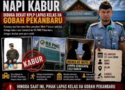 Napi Narkoba Di Lapas kelas IIA Gobah Pekanbaru Kabur 