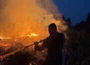 Tak Kenal Waktu, Brimob Riau Berjibaku Padamkan Karhutla di Meranti hingga Malam